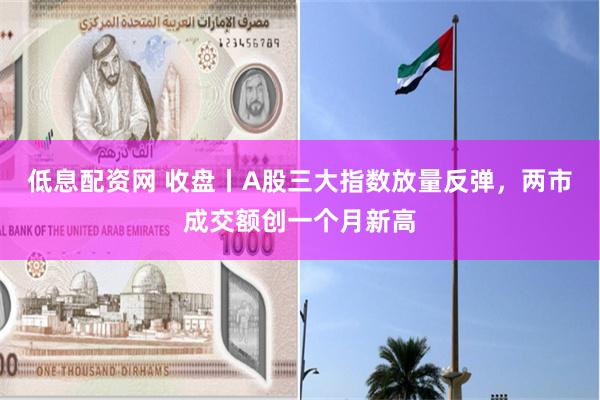 低息配资网 收盘丨A股三大指数放量反弹，两市成交额创一个月新高