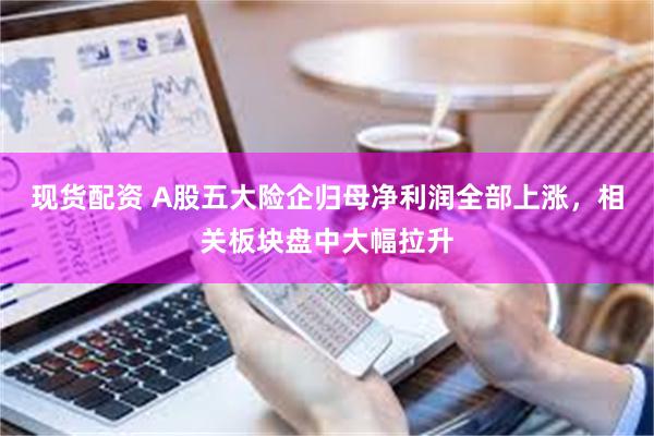 现货配资 A股五大险企归母净利润全部上涨，相关板块盘中大幅拉升