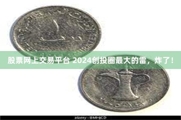 股票网上交易平台 2024创投圈最大的雷，炸了！