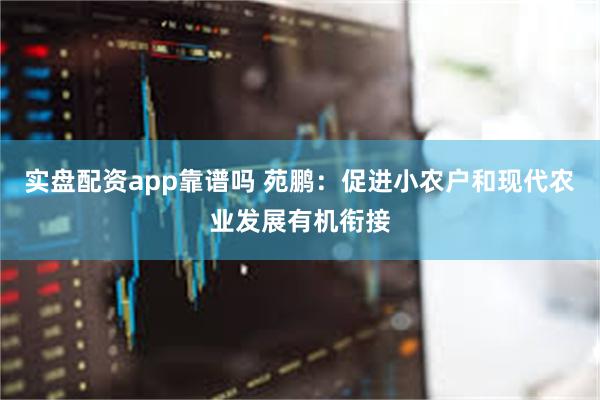 实盘配资app靠谱吗 苑鹏：促进小农户和现代农业发展有机衔接
