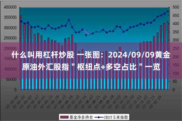 什么叫用杠杆炒股 一张图：2024/09/09黄金原油外汇股指＂枢纽点+多空占比＂一览