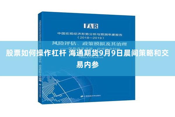 股票如何操作杠杆 海通期货9月9日晨间策略和交易内参