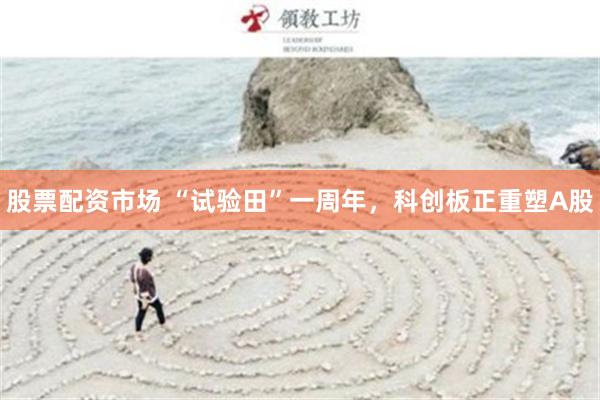 股票配资市场 “试验田”一周年，科创板正重塑A股