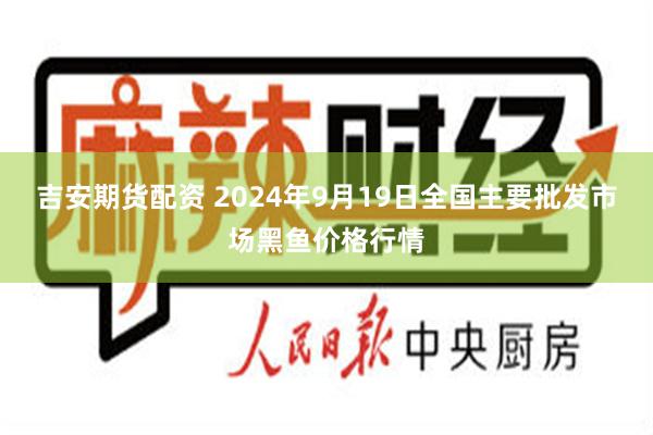 吉安期货配资 2024年9月19日全国主要批发市场黑鱼价格行情