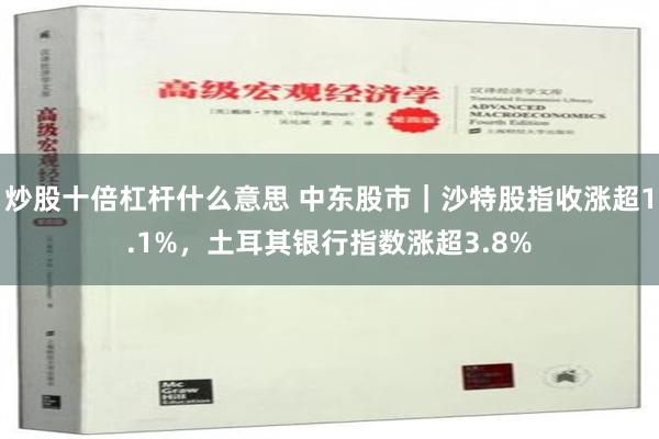 炒股十倍杠杆什么意思 中东股市｜沙特股指收涨超1.1%，土耳其银行指数涨超3.8%