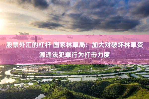 股票外汇的杠杆 国家林草局：加大对破坏林草资源违法犯罪行为打击力度