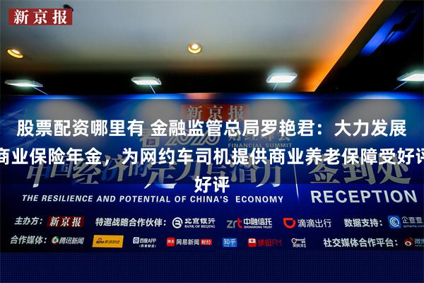 股票配资哪里有 金融监管总局罗艳君：大力发展商业保险年金，为网约车司机提供商业养老保障受好评