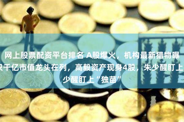 网上股票配资平台排名 A股爆火，机构最新猎物曝光，4只千亿市值龙头在列，高毅资产现身4股，朱少醒盯上“独苗”