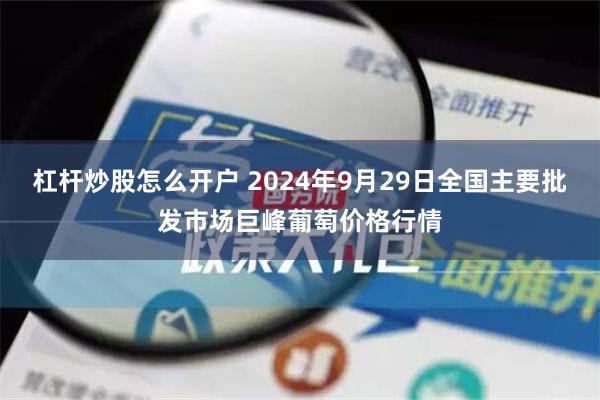 杠杆炒股怎么开户 2024年9月29日全国主要批发市场巨峰葡萄价格行情
