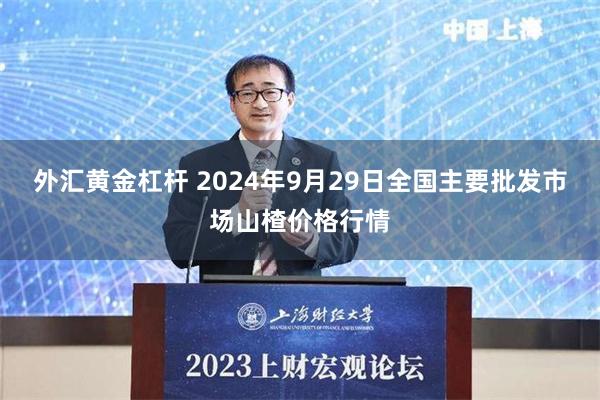 外汇黄金杠杆 2024年9月29日全国主要批发市场山楂价格行情
