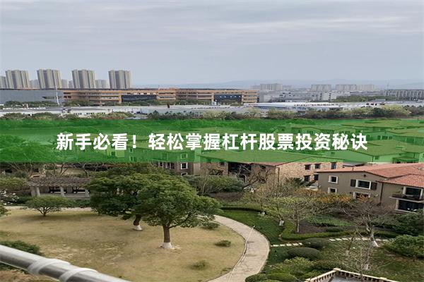 新手必看！轻松掌握杠杆股票投资秘诀