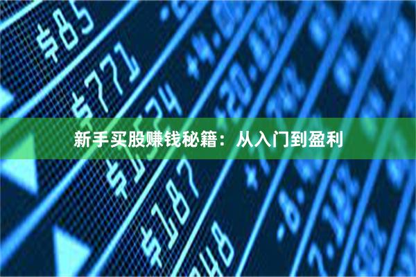 新手买股赚钱秘籍：从入门到盈利