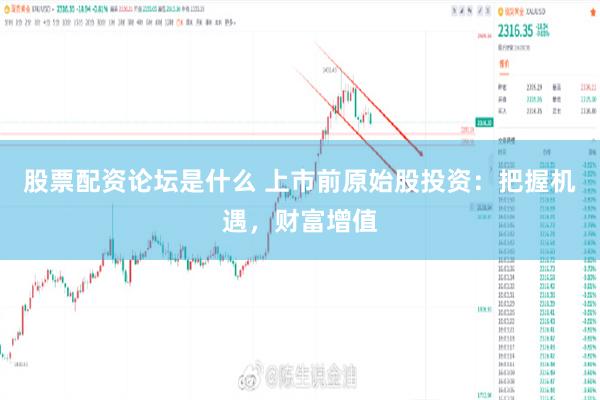 股票配资论坛是什么 上市前原始股投资：把握机遇，财富增值