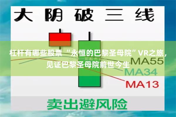 杠杆有哪些股票 “永恒的巴黎圣母院”VR之旅，见证巴黎圣母院前世今生