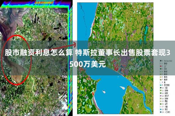 股市融资利息怎么算 特斯拉董事长出售股票套现3500万美元