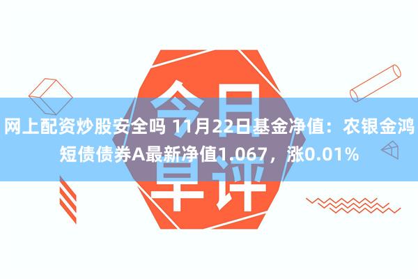 网上配资炒股安全吗 11月22日基金净值：农银金鸿短债债券A最新净值1.067，涨0.01%