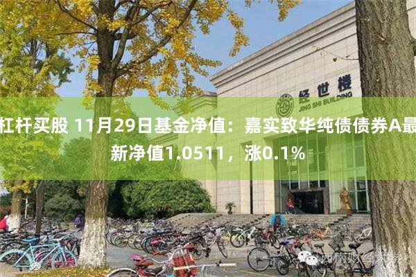 杠杆买股 11月29日基金净值：嘉实致华纯债债券A最新净值1.0511，涨0.1%