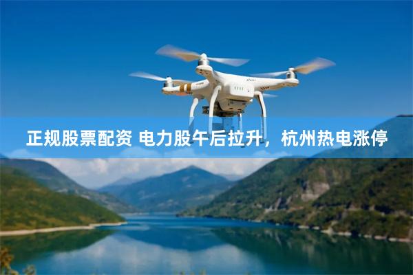 正规股票配资 电力股午后拉升，杭州热电涨停
