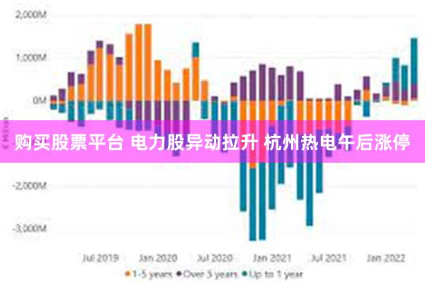 购买股票平台 电力股异动拉升 杭州热电午后涨停
