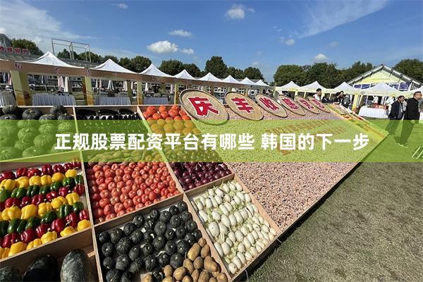 正规股票配资平台有哪些 韩国的下一步