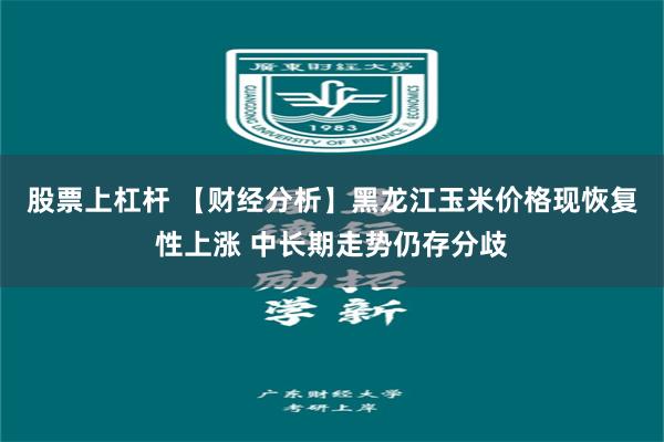 股票上杠杆 【财经分析】黑龙江玉米价格现恢复性上涨 中长期走势仍存分歧
