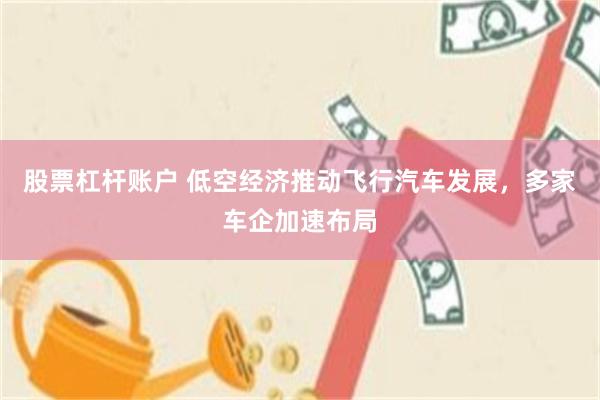 股票杠杆账户 低空经济推动飞行汽车发展，多家车企加速布局