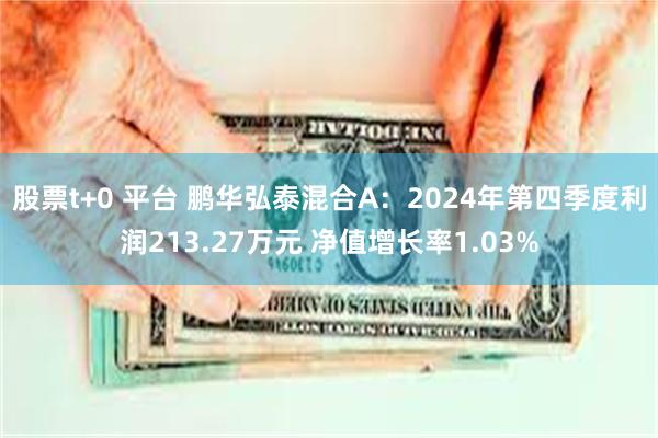 股票t+0 平台 鹏华弘泰混合A：2024年第四季度利润213.27万元 净值增长率1.03%