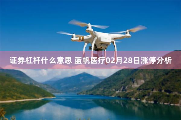 证券杠杆什么意思 蓝帆医疗02月28日涨停分析
