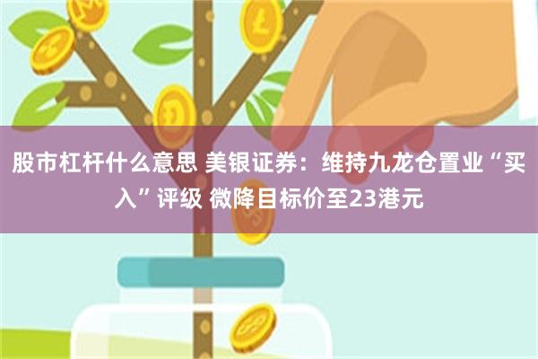 股市杠杆什么意思 美银证券：维持九龙仓置业“买入”评级 微降目标价至23港元