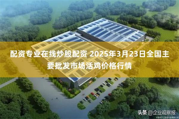 配资专业在线炒股配资 2025年3月23日全国主要批发市场活鸡价格行情