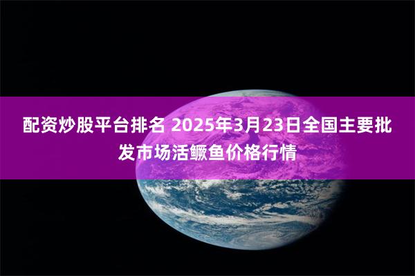 配资炒股平台排名 2025年3月23日全国主要批发市场活鳜鱼价格行情
