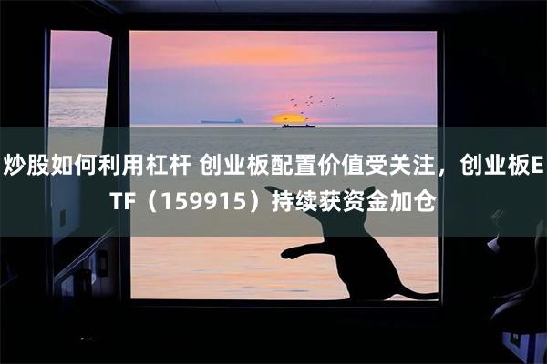 炒股如何利用杠杆 创业板配置价值受关注，创业板ETF（159915）持续获资金加仓