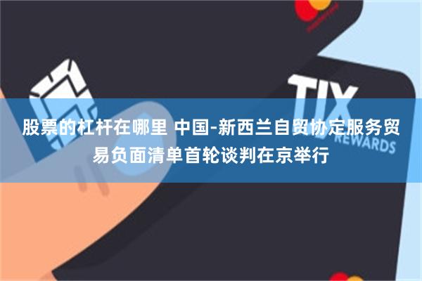 股票的杠杆在哪里 中国-新西兰自贸协定服务贸易负面清单首轮谈判在京举行