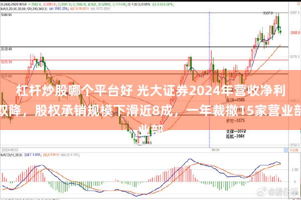 杠杆炒股哪个平台好 光大证券2024年营收净利双降，股权承销规模下滑近8成，一年裁撤15家营业部