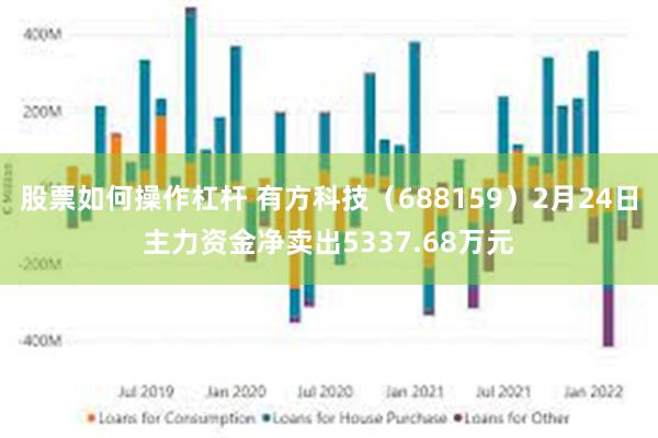 股票如何操作杠杆 有方科技（688159）2月24日主力资金净卖出5337.68万元
