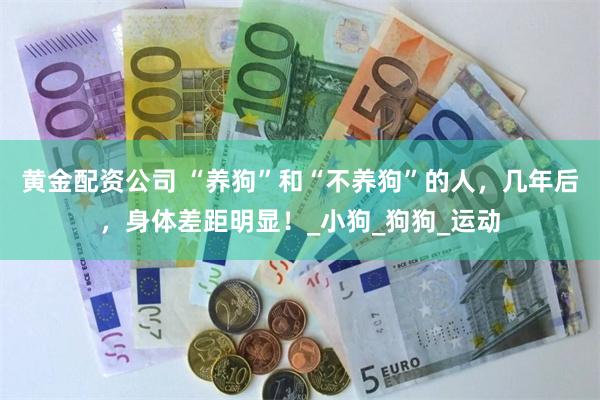 黄金配资公司 “养狗”和“不养狗”的人，几年后，身体差距明显！_小狗_狗狗_运动