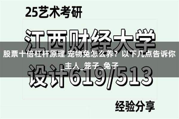 股票十倍杠杆原理 宠物兔怎么养？以下几点告诉你_主人_笼子_兔子