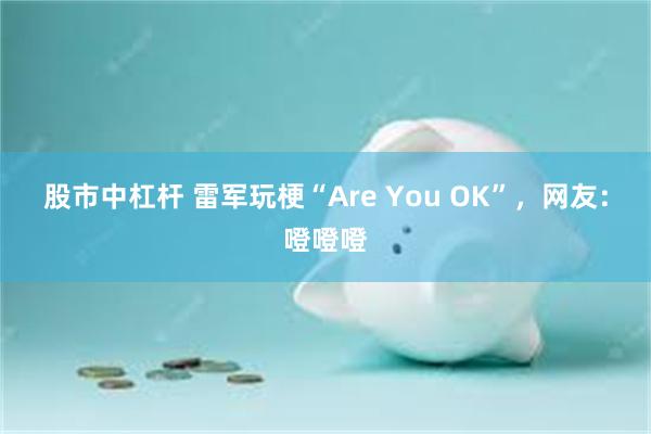 股市中杠杆 雷军玩梗“Are You OK”，网友：噔噔噔