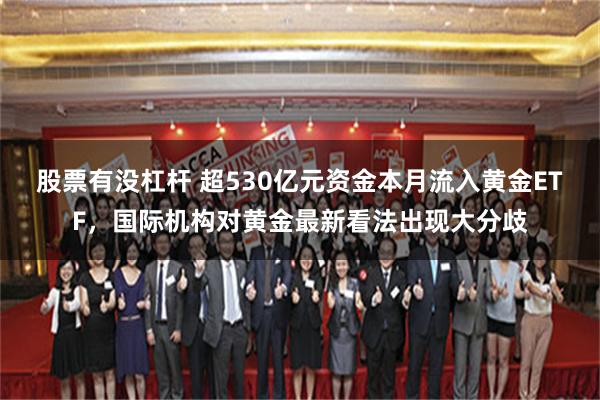 股票有没杠杆 超530亿元资金本月流入黄金ETF，国际机构对黄金最新看法出现大分歧