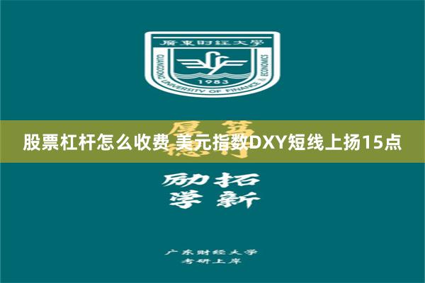 股票杠杆怎么收费 美元指数DXY短线上扬15点