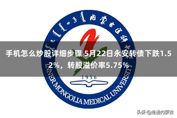 手机怎么炒股详细步骤 5月22日永安转债下跌1.52%，转股溢价率5.75%