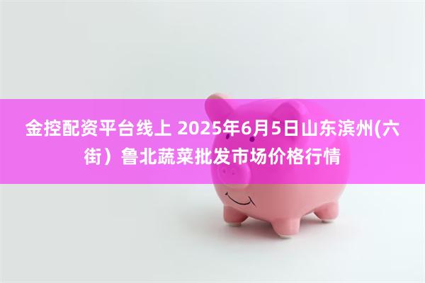 金控配资平台线上 2025年6月5日山东滨州(六街）鲁北蔬菜批发市场价格行情
