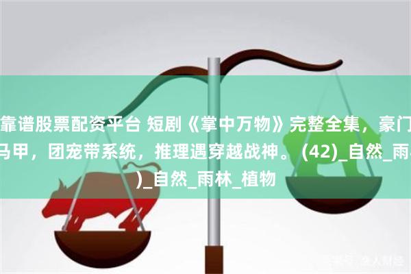 靠谱股票配资平台 短剧《掌中万物》完整全集，豪门重生藏马甲，团宠带系统，推理遇穿越战神。 (42)_自然_雨林_植物
