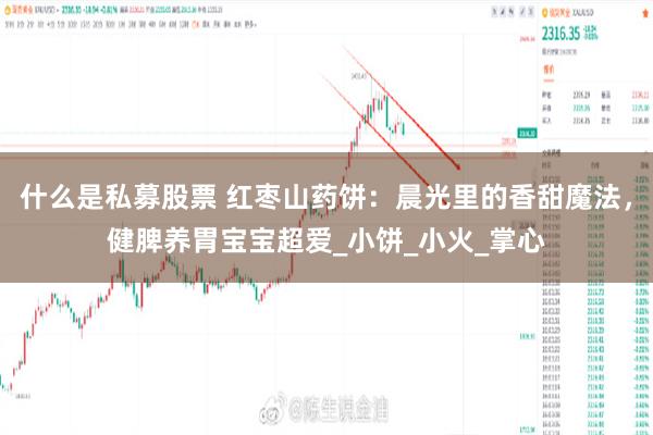 什么是私募股票 红枣山药饼：晨光里的香甜魔法，健脾养胃宝宝超爱_小饼_小火_掌心